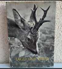 DDR Jagd und Wild 1955
