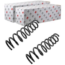 2X NK FAHRWERKSFEDERN SATZ