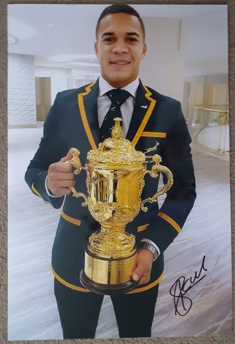 Cheslin kolbe südafrika - cheslin,