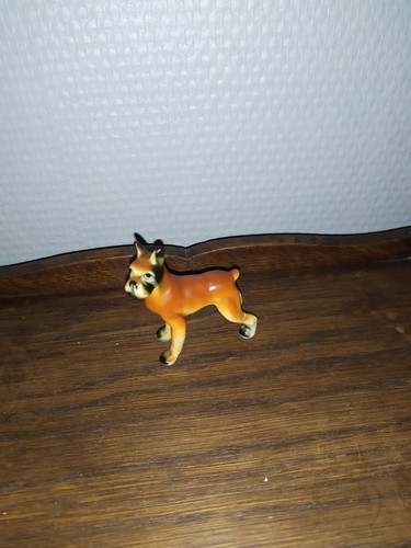 Alter hund boxer - alter,