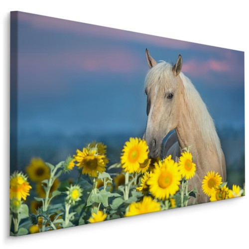 Canvas leinwand bilder xxl - leinwand,