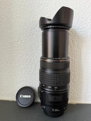 Canon 300mm 5 6 - ef, is
