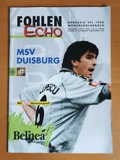 Fohlen Echo - Borussia
