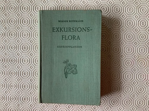 Exkursionsflora von