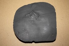 Seelilien Replik Bundenbach