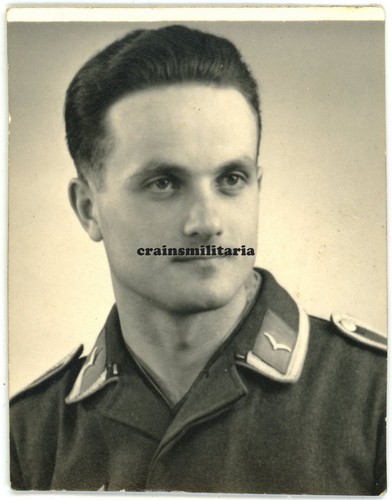 Orig foto portrait - orig., nachtjagd
