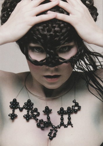 Björk medulla - ✪,