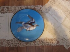 Japan Teller Vogel Eichelhäher Cloisonne Email blau , antik, um 1900-1920