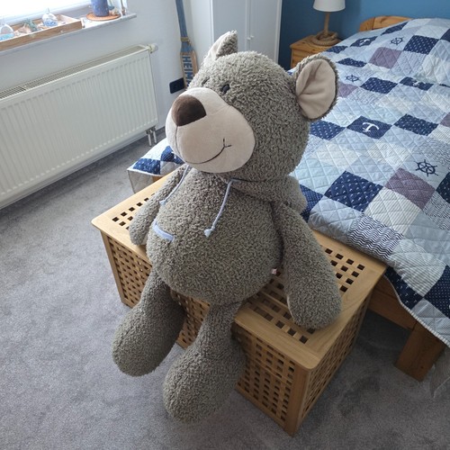 Nici winterbär bär teddy - winterbär,