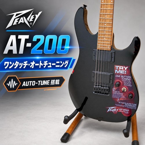 Peavey 200 auto tune - peavey, at-200