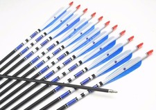12Pcs 28/30/32" Carbon Arrows