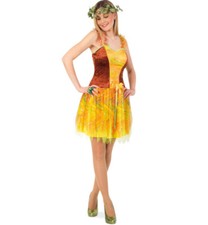 Damenkostüm Herbst Elfe Kleid
