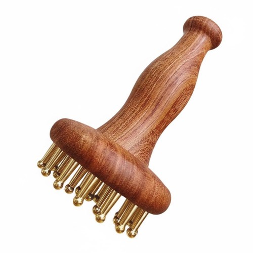 Meridian massagebürste aus - meridian-massagebürste,