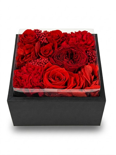 Blumen rote stabilisierte - &,