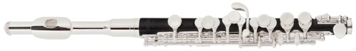 Piccolo flöte mit - piccolo-flöte,