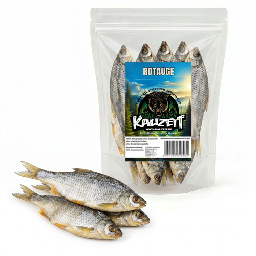 Rotauge getrocknet fisch - rotauge,
