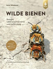Wilde Bienen | Heinz Wiesbauer