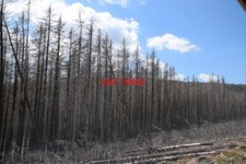 FOTO (2) DER BROCKEN BLICK VON