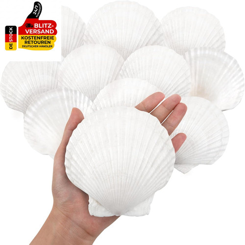 Skoolove10 stück 13cm - stück, 10-13cm
