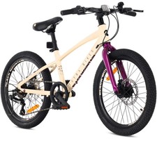 20 Zoll Kinderfahrrad 6-Gang