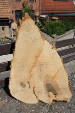 Baumscheibe Holzscheibe Groß