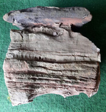 E1 Naturstein Suiseki Pagodenstein Pagodengestein Bonsai Dekostein Steingarten