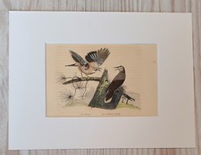 1852 Lithographie Kunstdruck