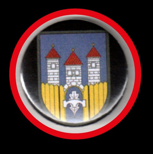 Panzerpionierbataillon