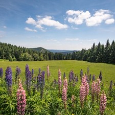 Wellness Masserberg/Thüringen 3-6 Tage @3* Werrapark Hotel Frankenblick + HP uvm