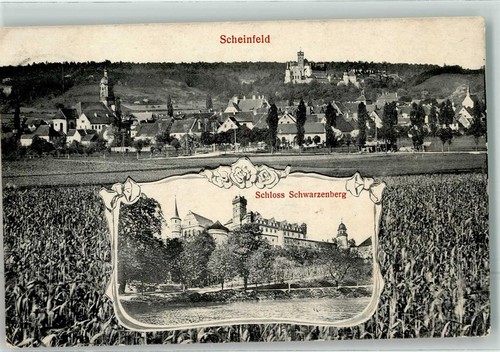 13496938 8533 scheinfeld - 13496938,