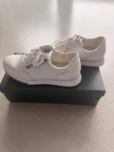 Paul green sneaker - green, größe
