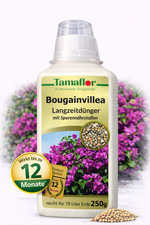 Bougainvillea Dünger
