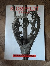 Karl Blossfeldt 6 Poster 31