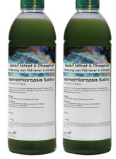 2 Liter - Nannochloropsis