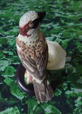 Unsere schöne Vogelwelt