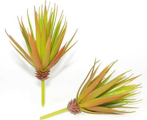Ljy stück yucca palme - 2,