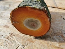 Drechselholz Bastelholz Edelholz Apfel Kirsche Eiche Mirabelle