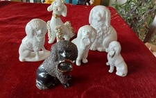 Kapitänshunde ; Puffhunde