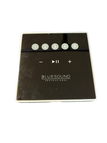 Bluesound professional cp100 - professional,