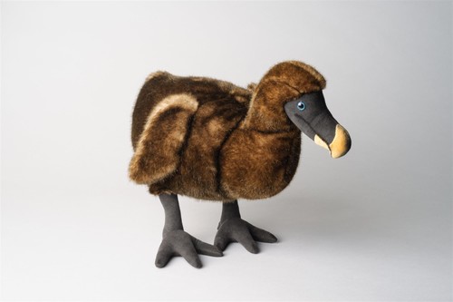 Kösen dodo braun vogel - kösen,
