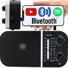 Radio Bluetooth Tragbares