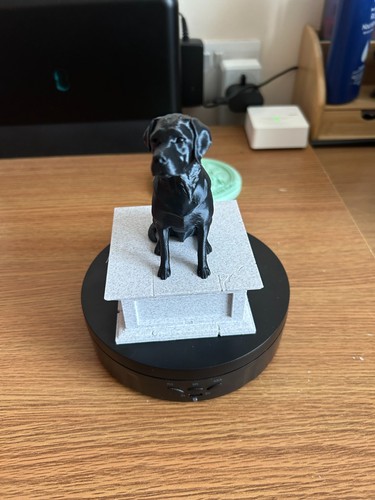 Your pet immortalized - pet,, custom