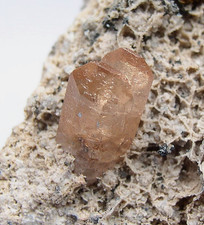 TOPAS COGNAKFARBEN Thomas