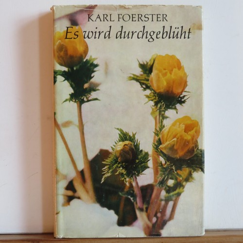 Karl foerster wird - karl,
