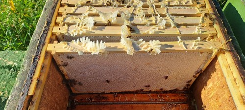 Sommertracht honig kg - kg,