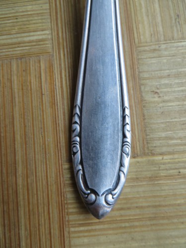 Bsf platura kelle - platura, kleine
