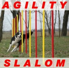 !AGILITY-SLALOM-SET ROT/GELB