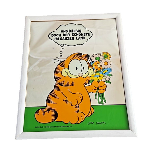 Garfield spiegel bild - garfield,