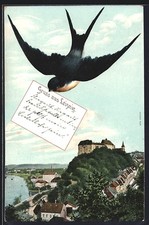 Leisnig, Teilansicht, Schwalbe