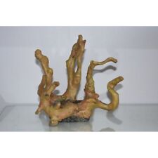 Aquarium Detaillierte